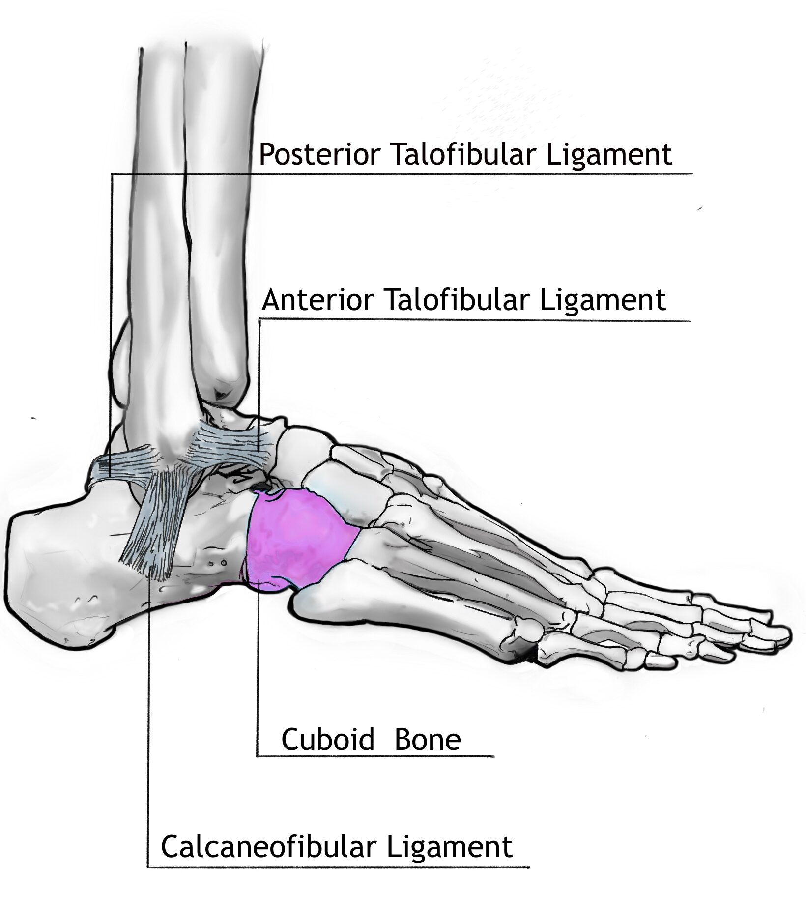 Toe Hold